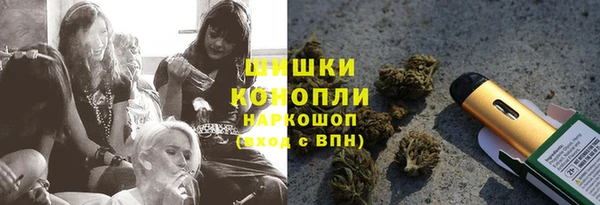 ешки Алзамай