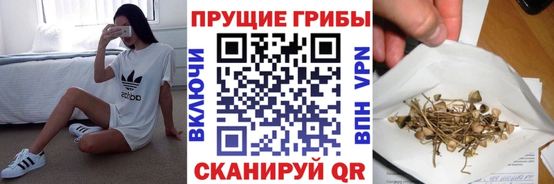 Купить где  Тамбов  Псилоцибиновые грибы MAGIC MUSHROOMS 